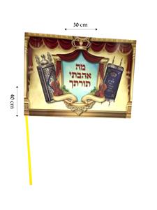 Sefer Torah Flag