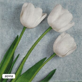 3 white tulips napkin